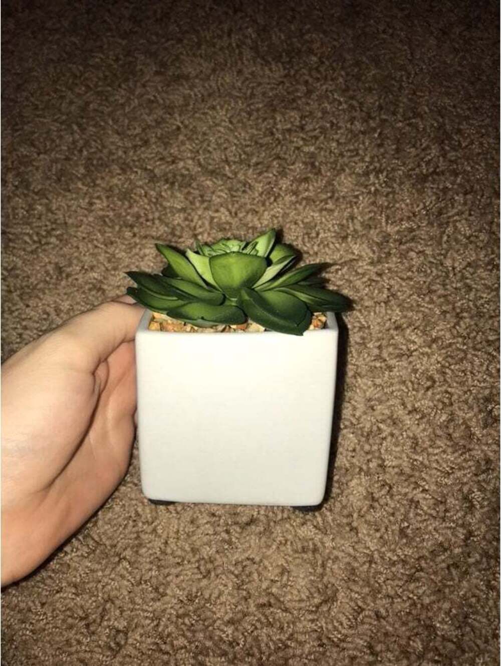 Artificial Succulent Plant in White Ceramic Square Pot